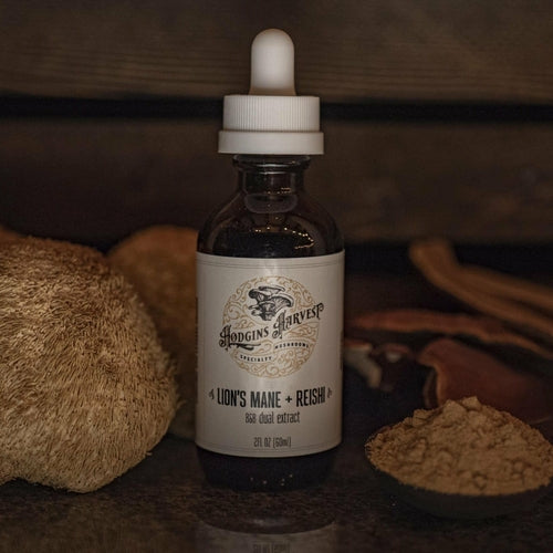Lion's Mane + Reishi Dual Extract Tincture