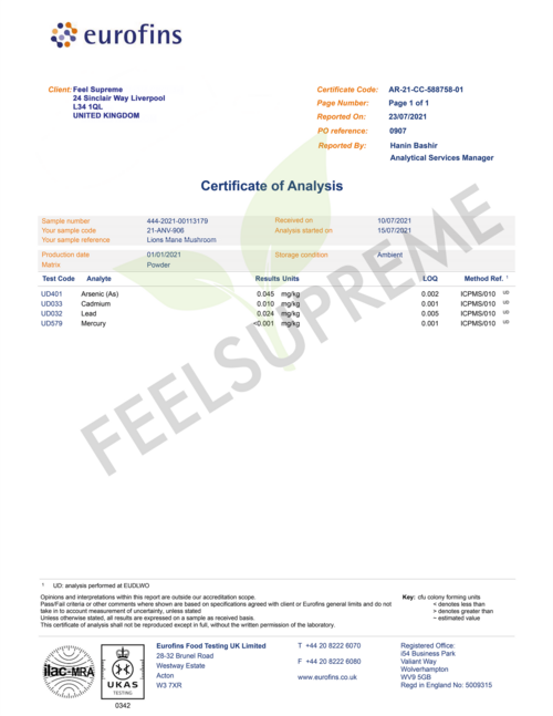 Lions Mane Mushroom Liquid | 60ml